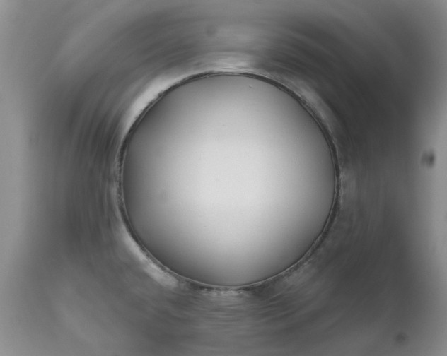 X0000112541432200908311435
