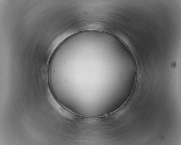 X0000112541434200908311436