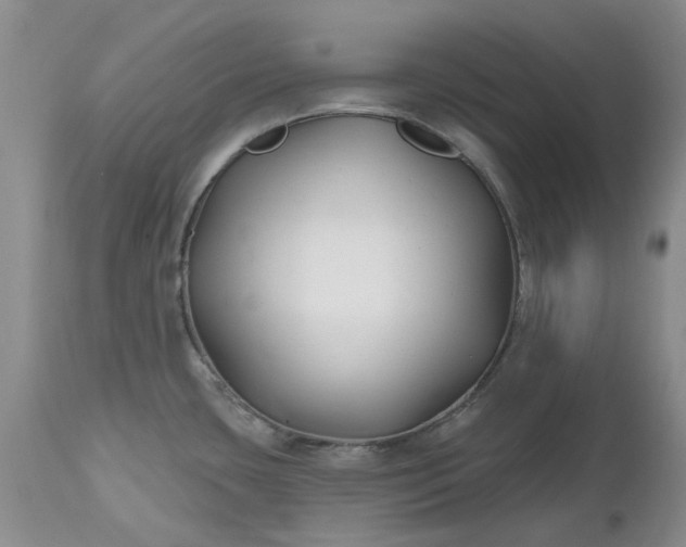 X0000112541435200908311436