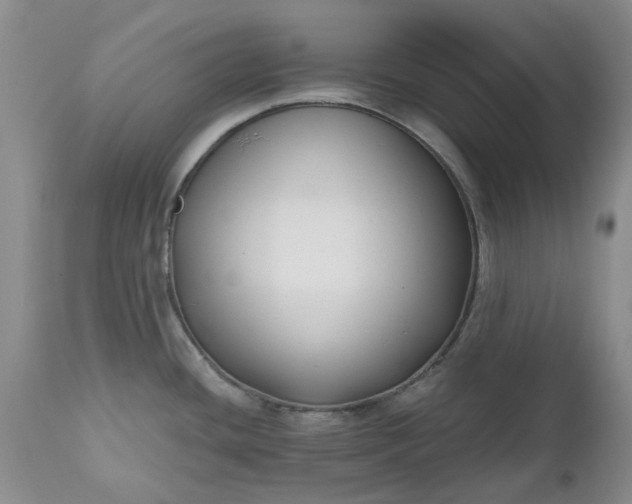 X0000112541436200908311436