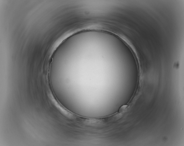 X0000112541437200908311436