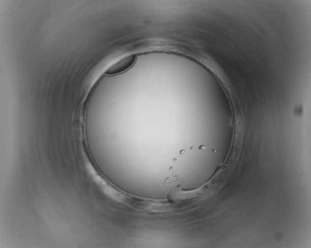 X0000112541439200908311436