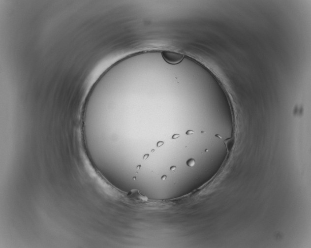X0000112541440200908311436