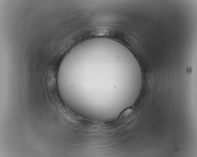 X0000112541442200908311435