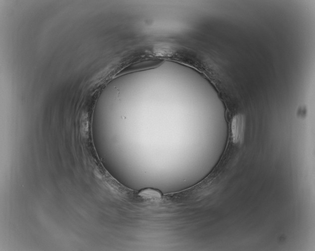 X0000112541443200908311435