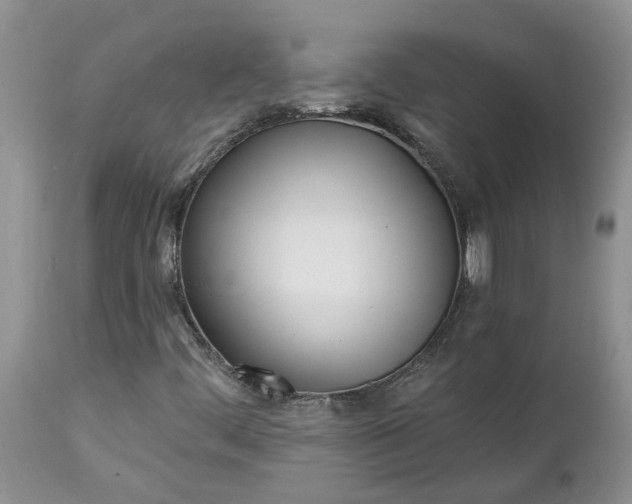 X0000112541444200908311435