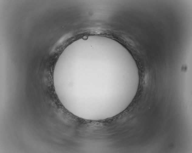 X0000112541446200908311435