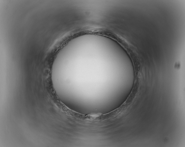 X0000112541447200908311435