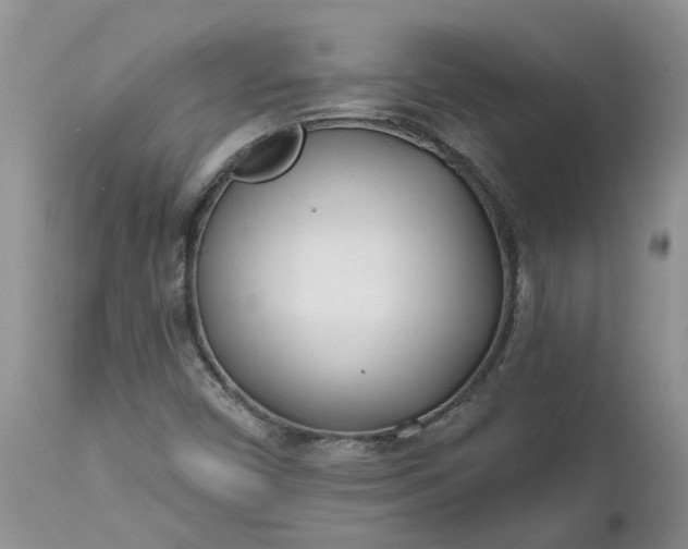 X0000112541450200908311435