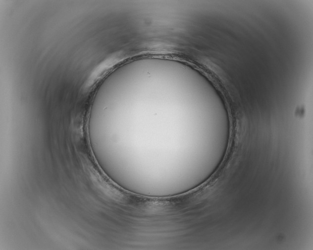 X0000112541451200908311435