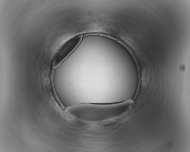 X0000112541452200908311435