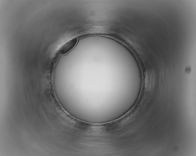 X0000112541453200908311435