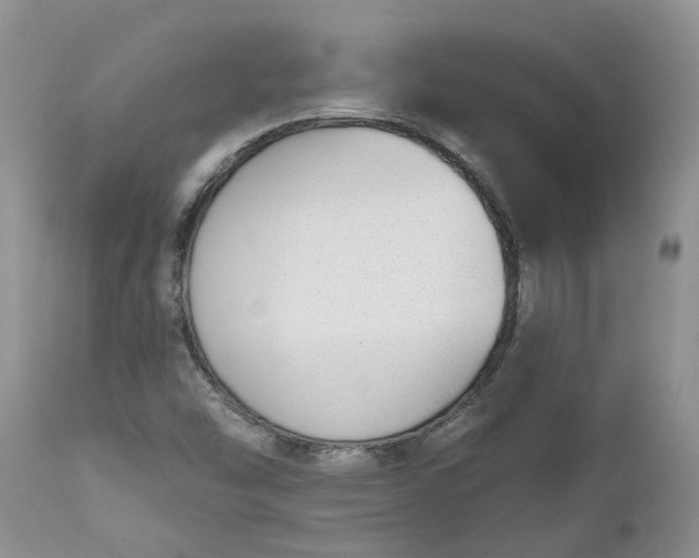 X0000112541454200908311435