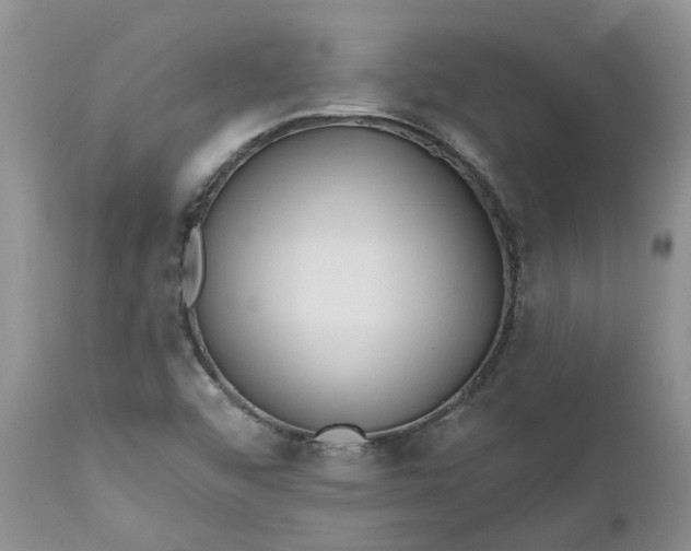 X0000112541456200908311435