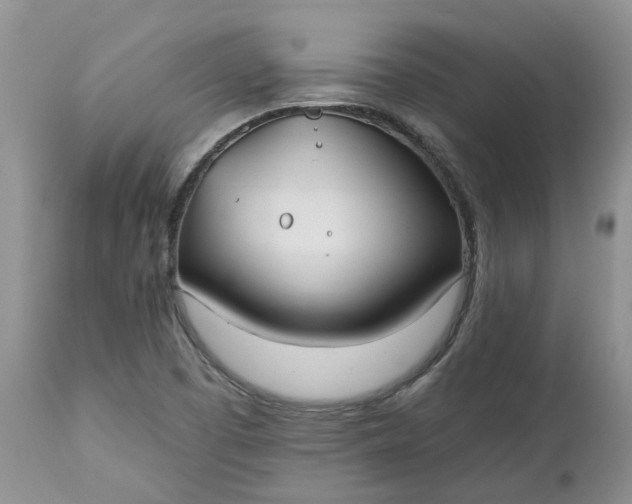 X0000112541457200908311435