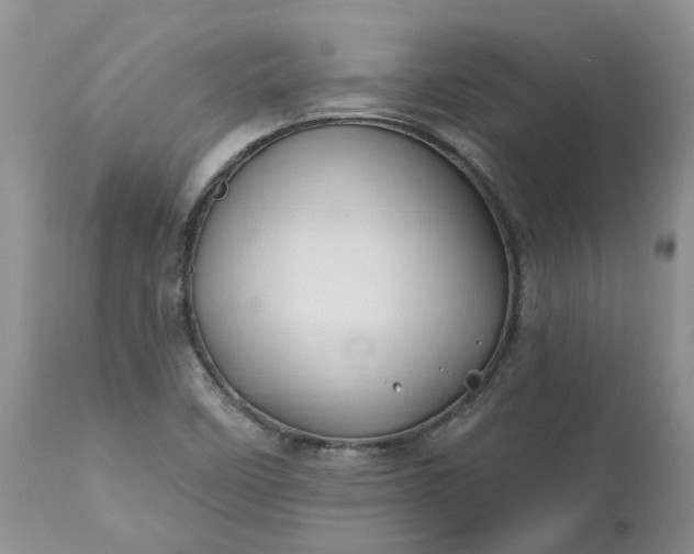 X0000112541458200908311435