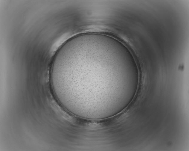 X0000112541459200908311435