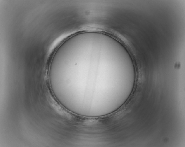 X0000112541462200908311435