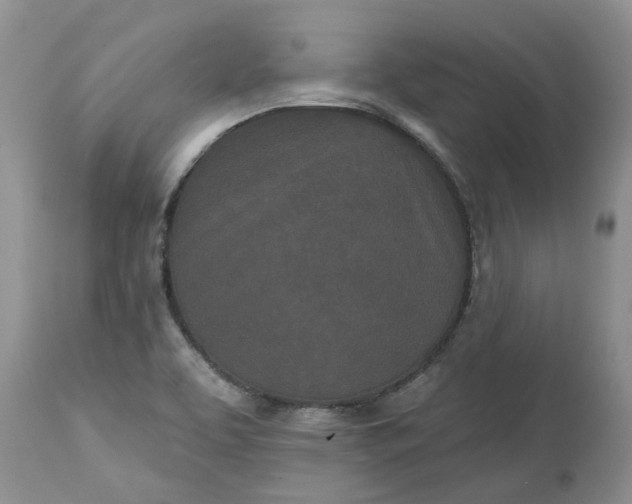X0000112541463200908311435