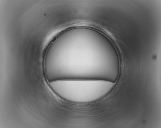 X0000112541464200908311435
