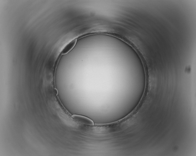 X0000112541465200908311435