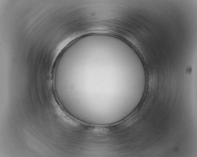 X0000112541466200908311435