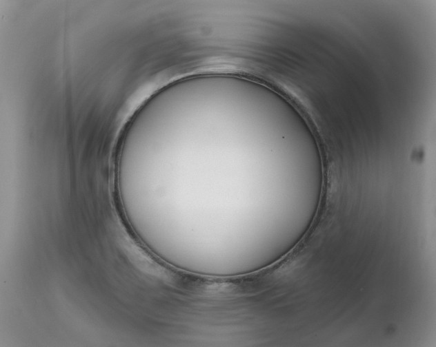 X0000112541467200908311435