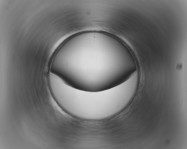 X0000112541468200908311435