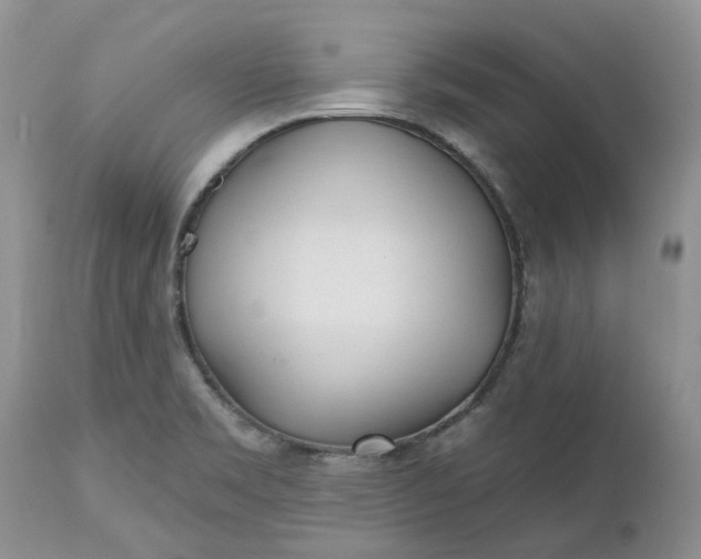 X0000112541469200908311435