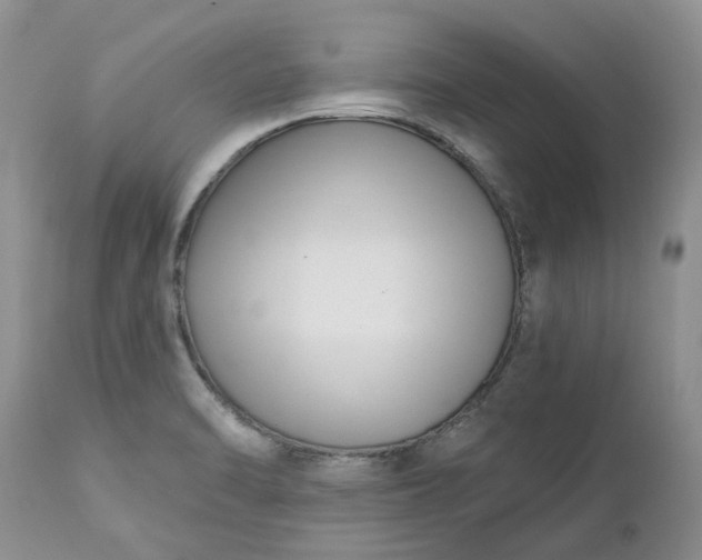 X0000112541470200908311435
