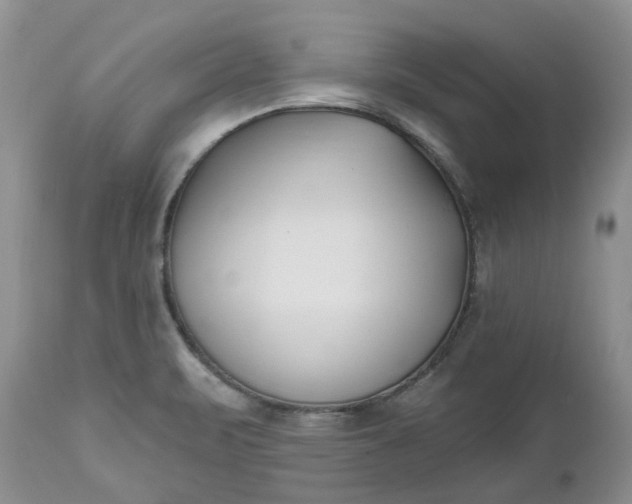X0000112541471200908311435