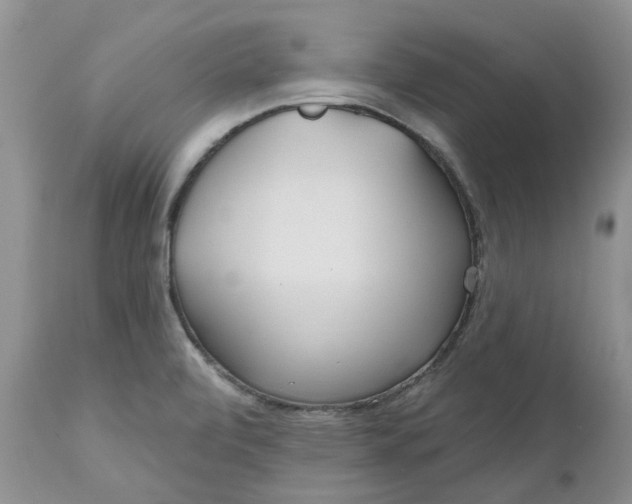 X0000112541472200908311435