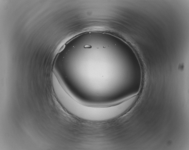 X0000112541473200908311434