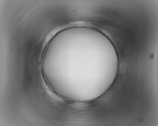 X0000112541474200908311434