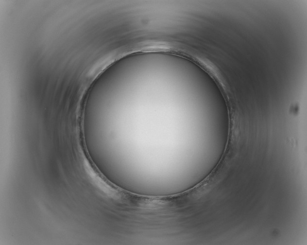 X0000112541475200908311434