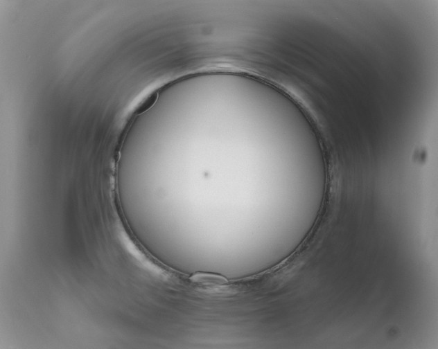 X0000112541476200908311434