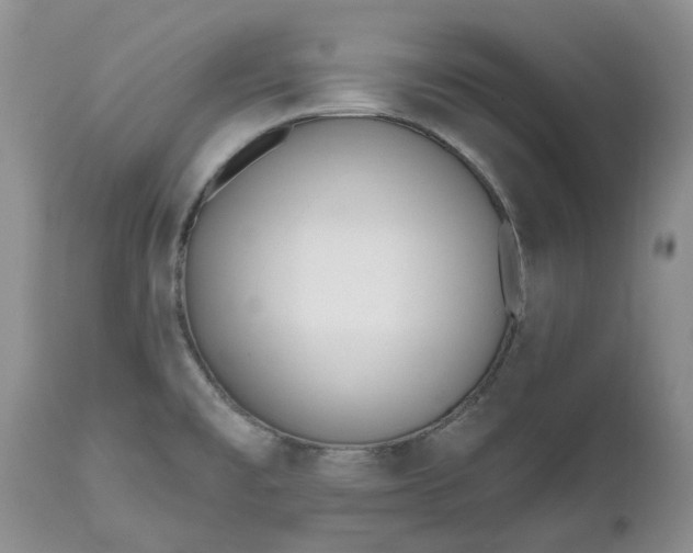 X0000112541477200908311434