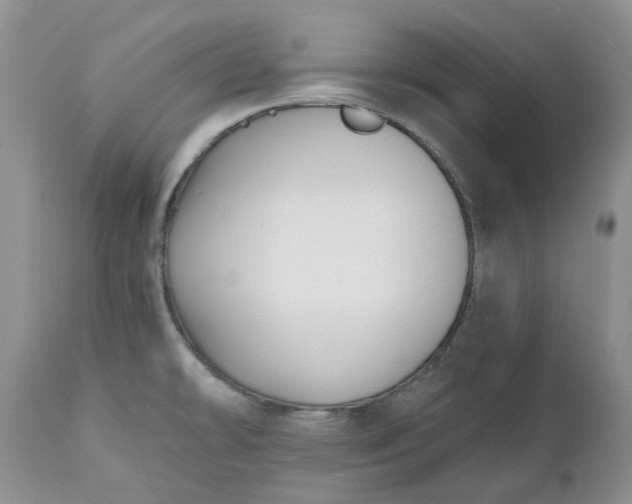 X0000112541478200908311434