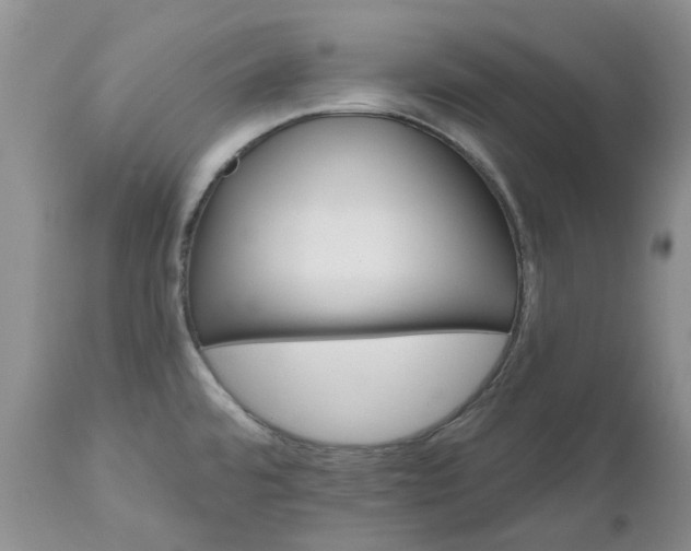 X0000112541480200908311434