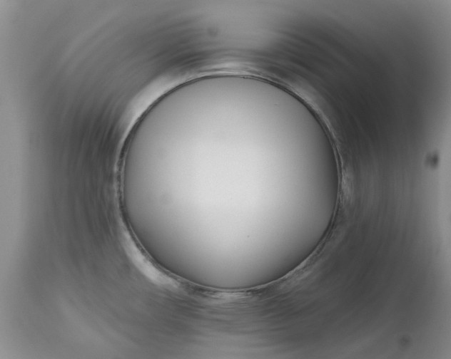 X0000112541482200908311434