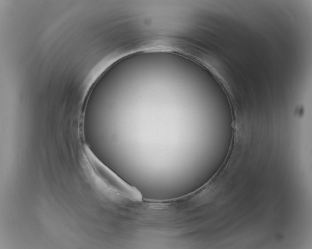 X0000112541484200908311434