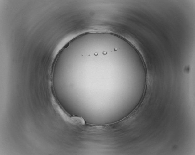 X0000112541485200908311434