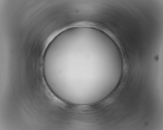 X0000112541486200908311434