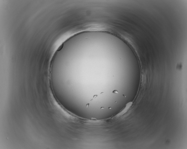 X0000112541487200908311434