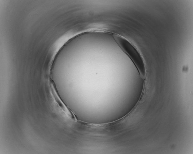 X0000112541488200908311434