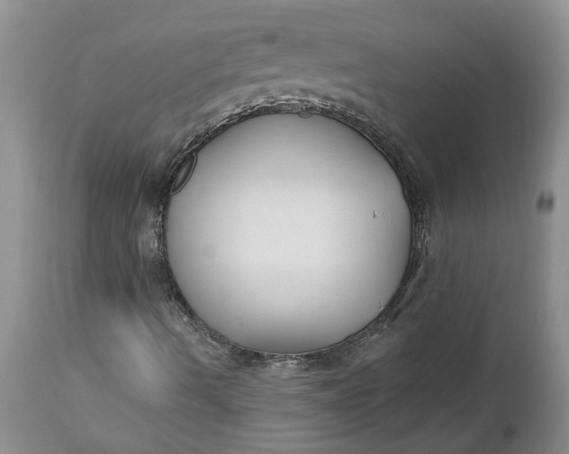 X0000112541490200908311434