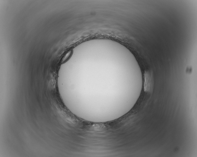 X0000112541491200908311434