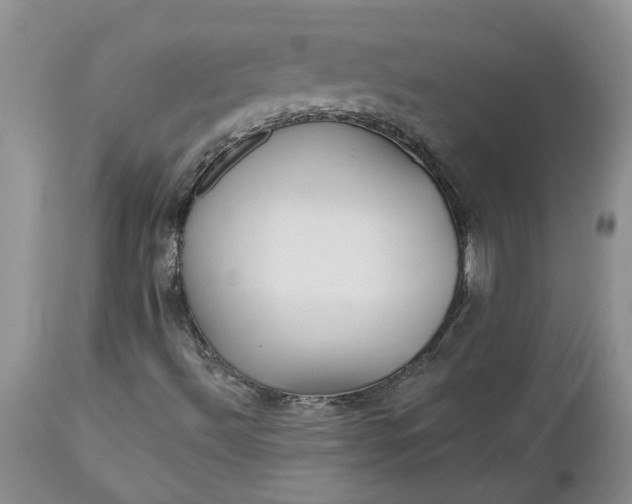 X0000112541492200908311434