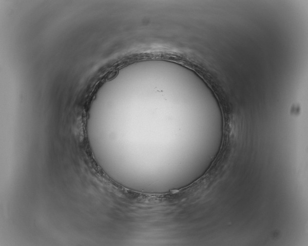 X0000112541493200908311434