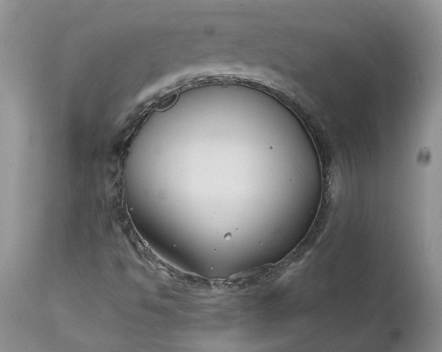 X0000112541494200908311434